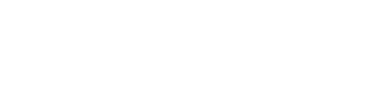 Partner 1