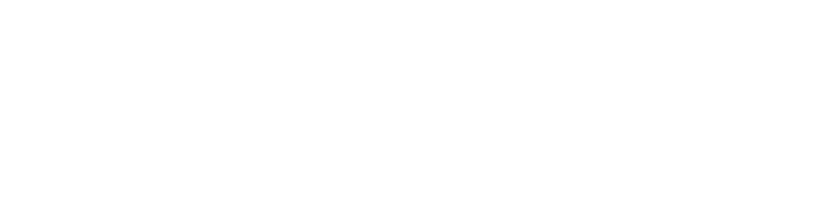 Partner 4