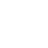 D5 Render
