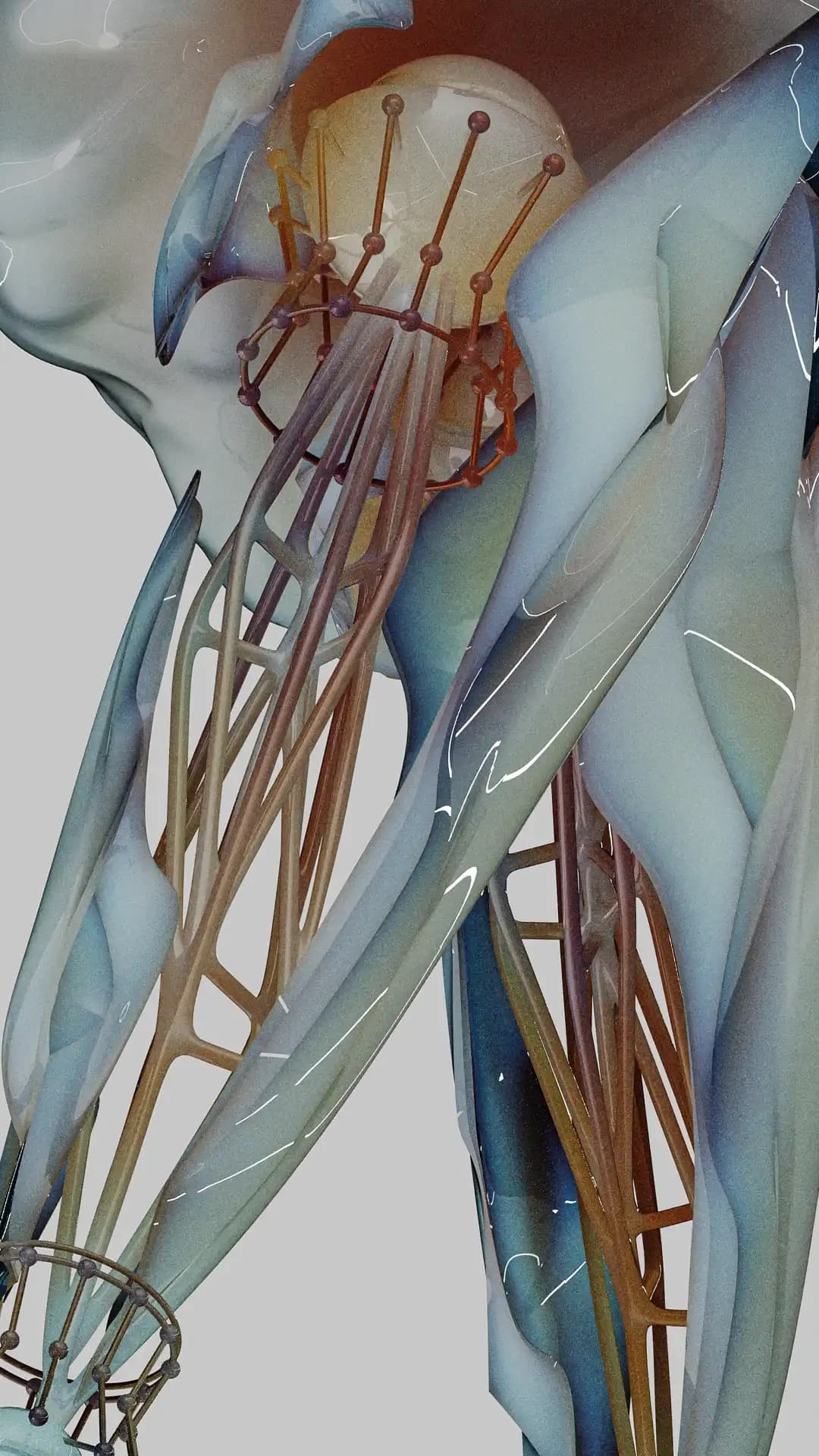 Artefacts of Growth: Biomorphic Structures in Cinema 4D