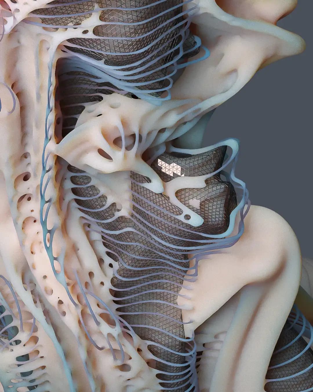Artefacts of Growth: Biomorphic Structures in Cinema 4D