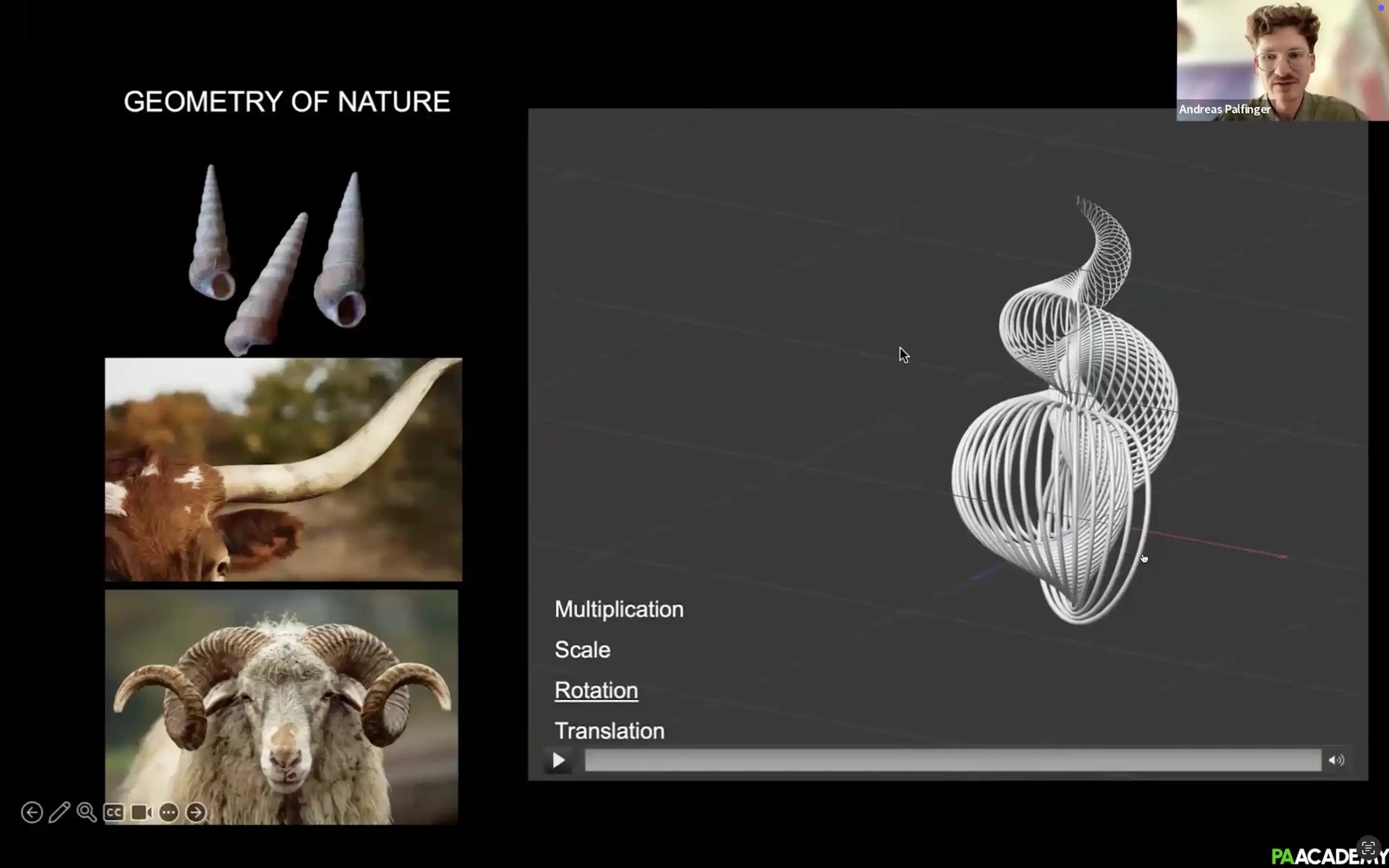 Exploring Nature-Inspired Design Through Digital Form-Making — image 2