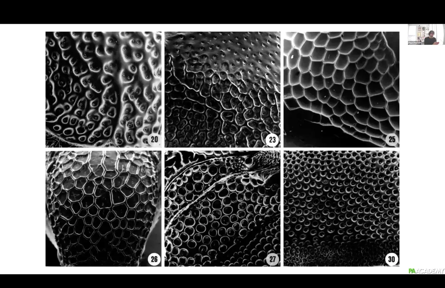 body-architecture-4-screenshot12.webp