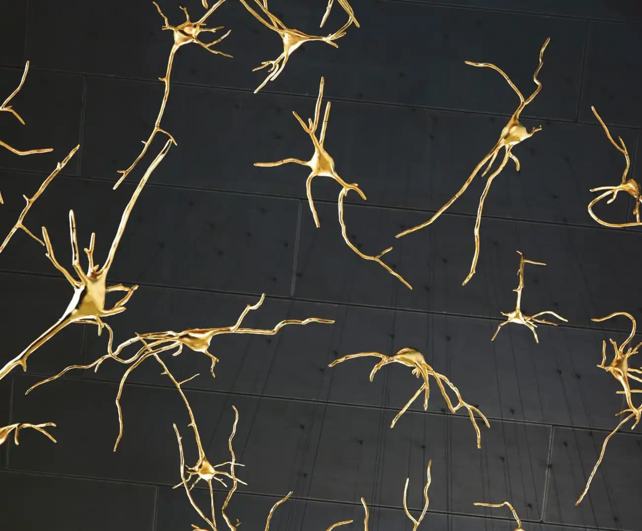 From Concrete to Bio-plastics: The Material Revolution in 3D Printing — image 1