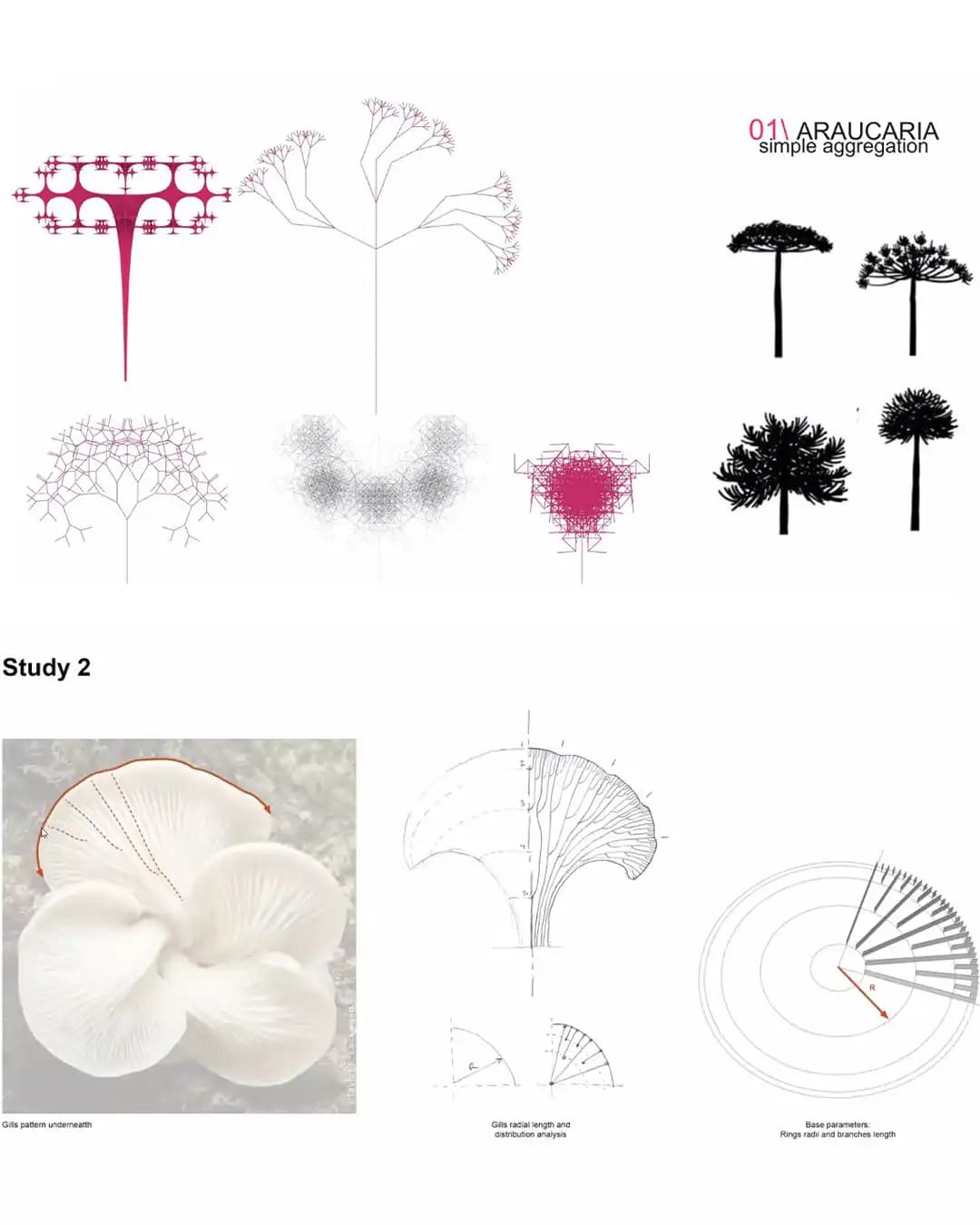 Eco-Parametric Structures - Studio Mamou-Mani