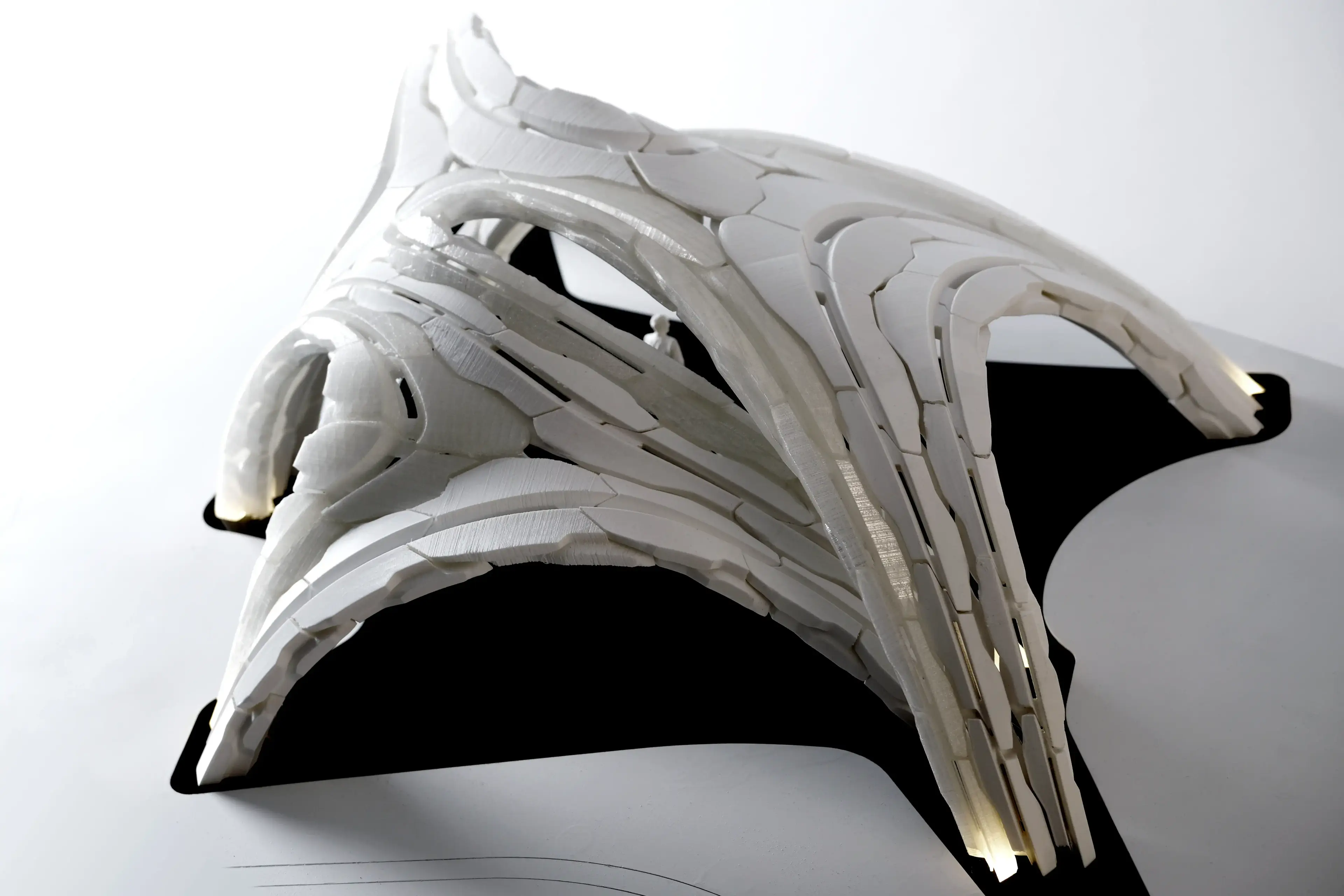 Polyhedral Topologies in Blender