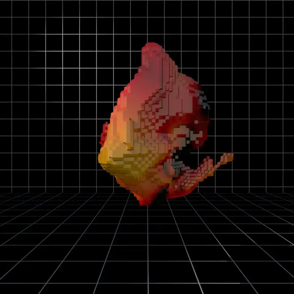The Illusion Of Form - PAACADEMY