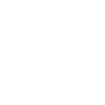 ControlNet