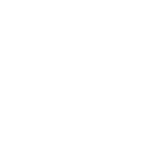 Manus AI
