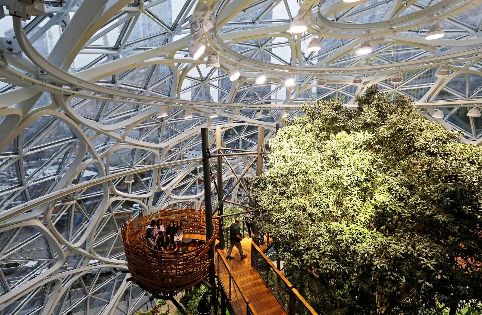 Guests sit in an area of the Amazon Sphere© Bruce Damonte 